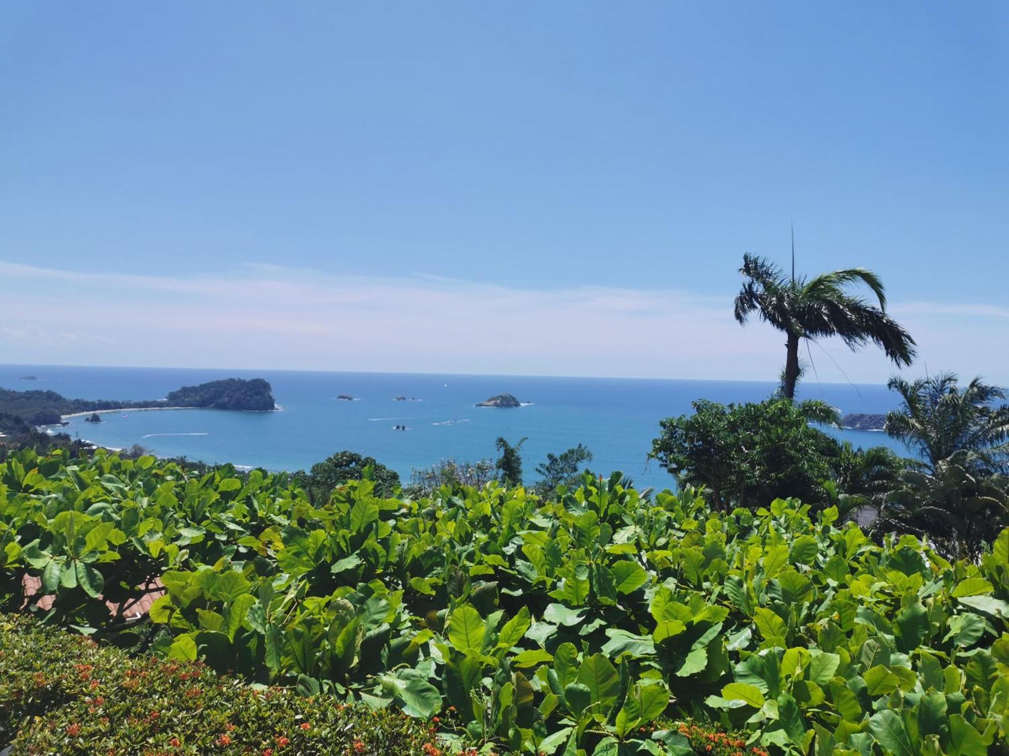 Hotel La Mariposa Manuel Antonio Eksteriør bilde