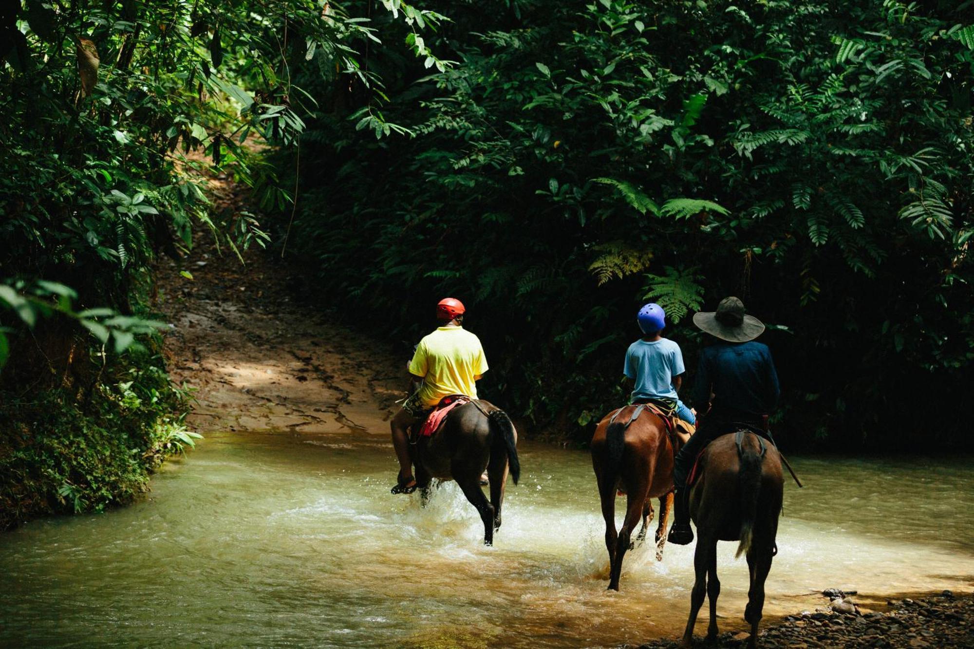 Hotel La Mariposa Manuel Antonio Eksteriør bilde