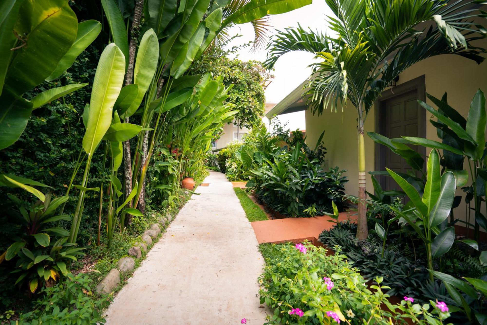 Hotel La Mariposa Manuel Antonio Eksteriør bilde